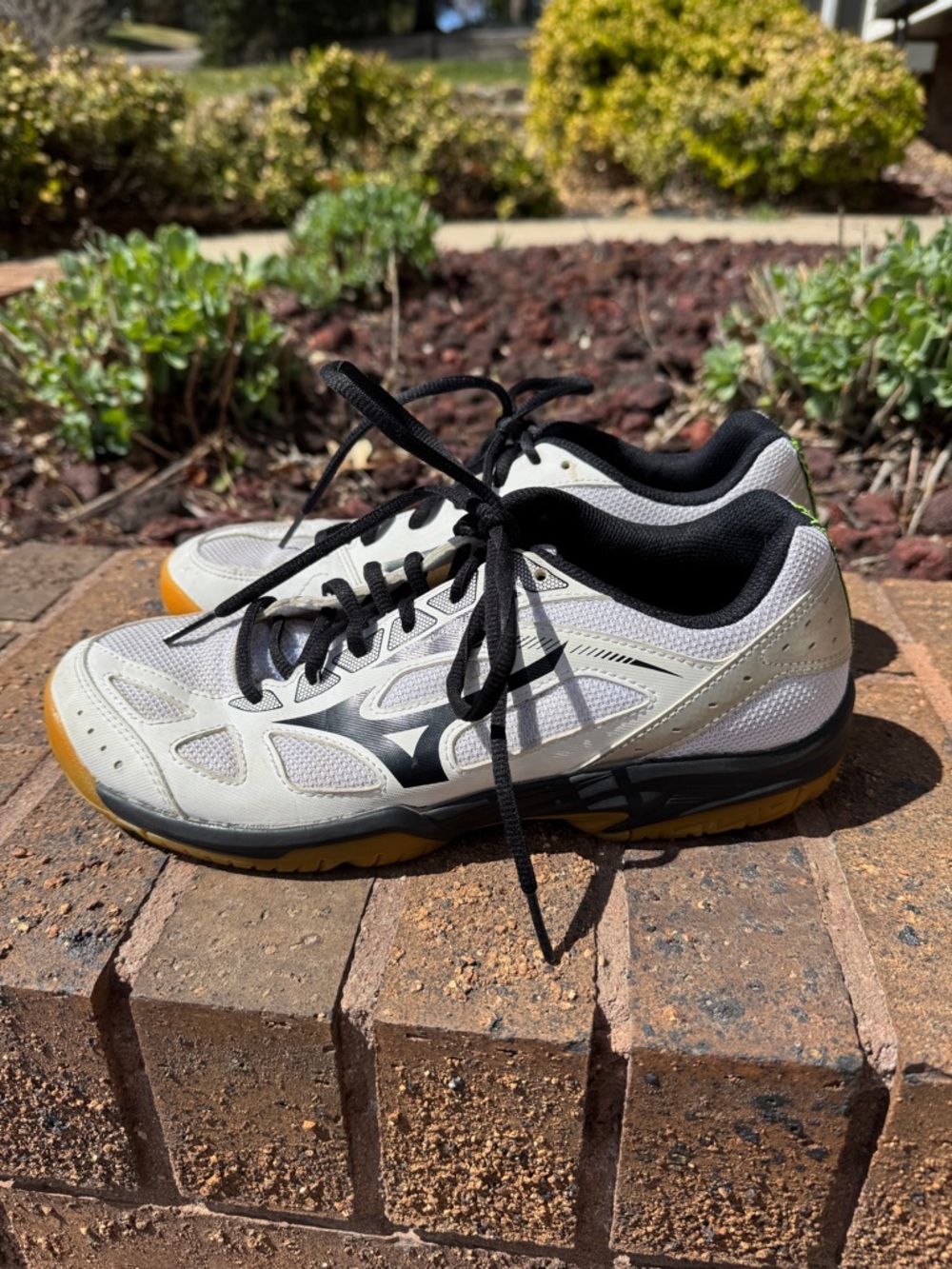 Mizuno women’s volleyball shoes 9.5